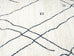 Taryn Grey and Ivory Abstract Tribal Rug