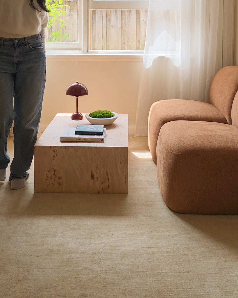 Alek Cream Handwoven Rug