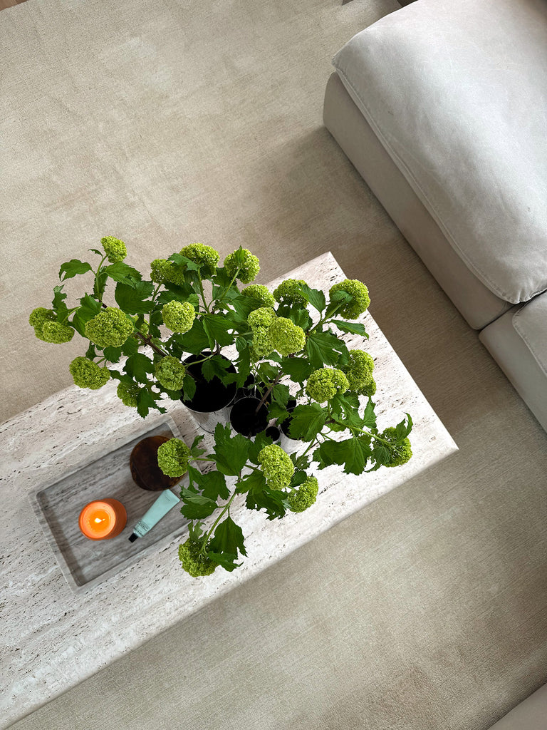 Alek Cream Handwoven Rug