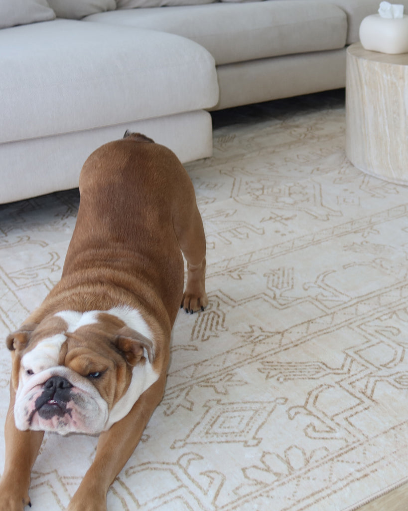 Anais Cream Medallion Washable Rug