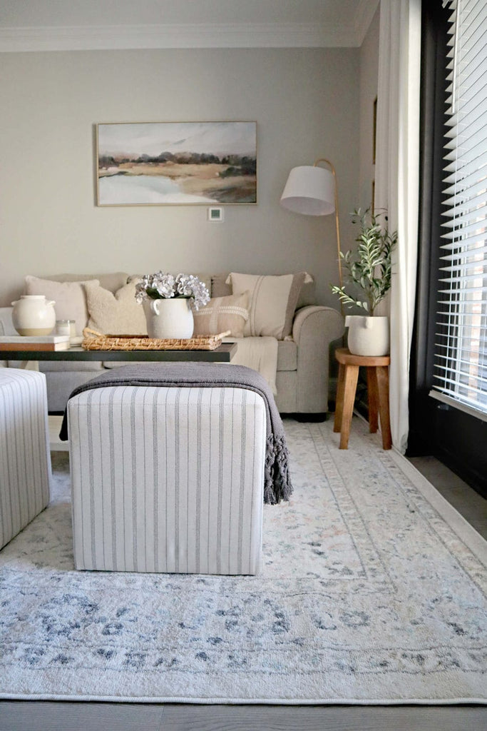 Anine Cream And Grey Multi-Colour Traditional Floral Rug