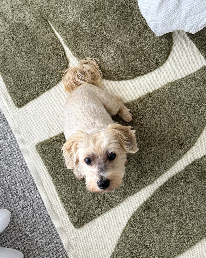 Azibo Green Abstract Washable Wool Rug