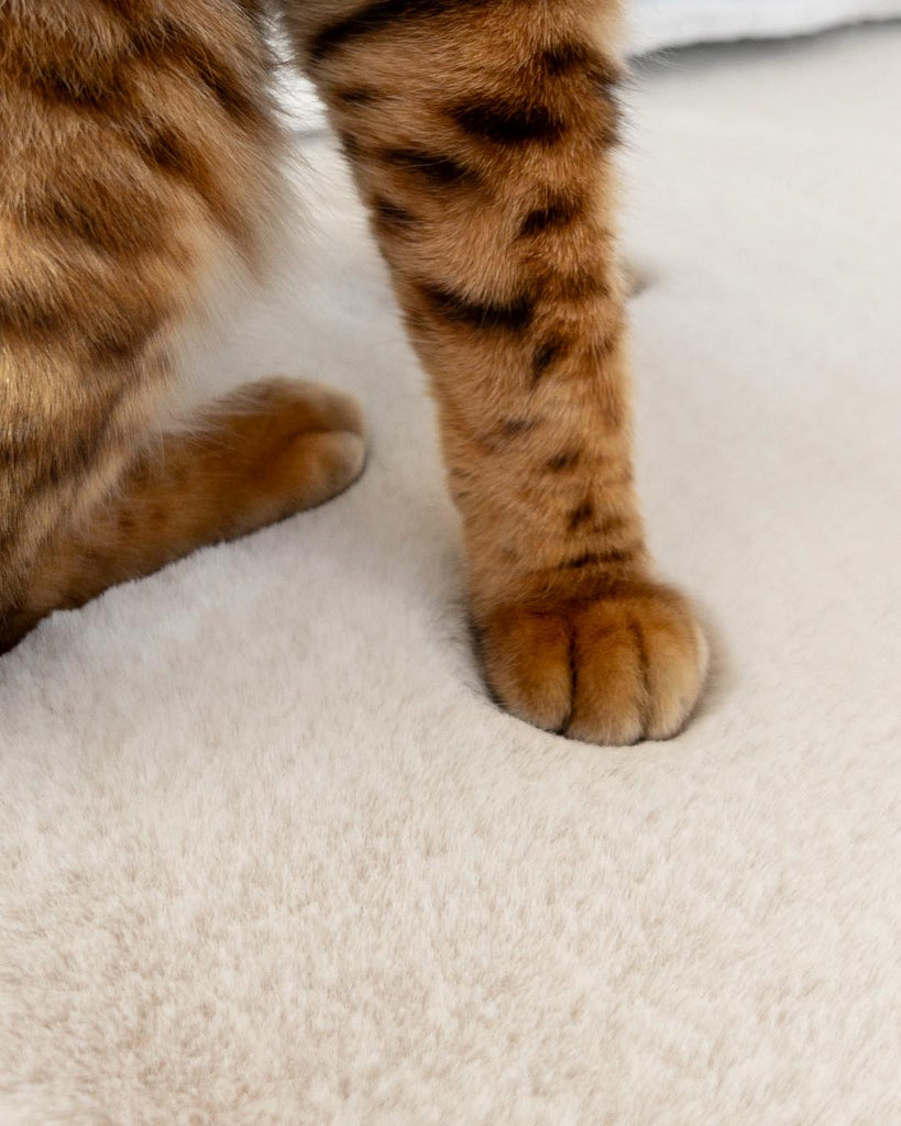 Becca Cream Shag Rug