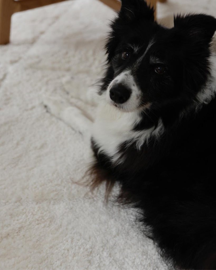 Calypso Ivory Cream Textured Tribal Tassel Rug