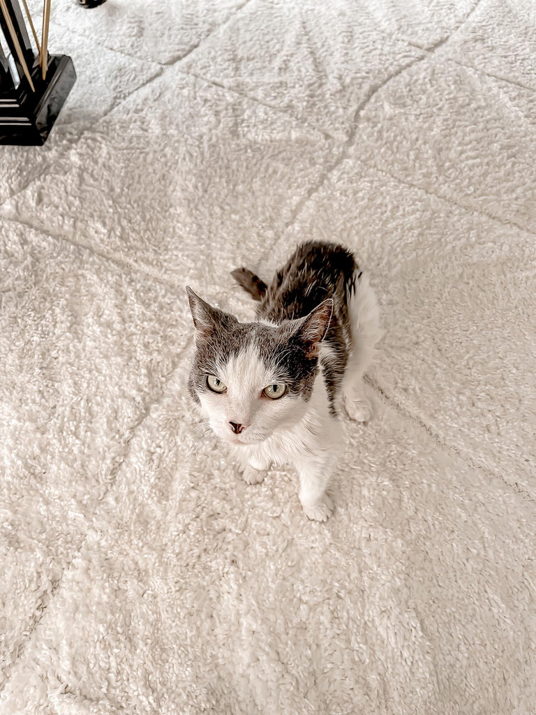 Calypso Ivory Cream Textured Tribal Round Rug