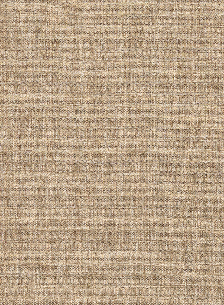 Coast Desert Beige Indoor Outdoor Rug