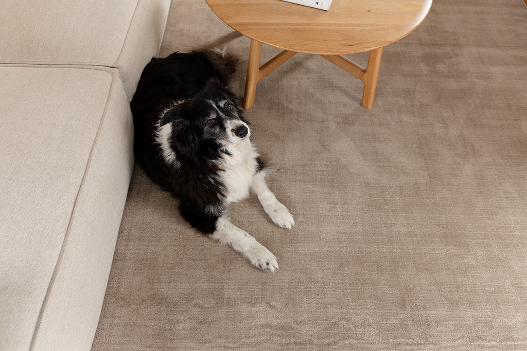 Codie Beige Handwoven Rug