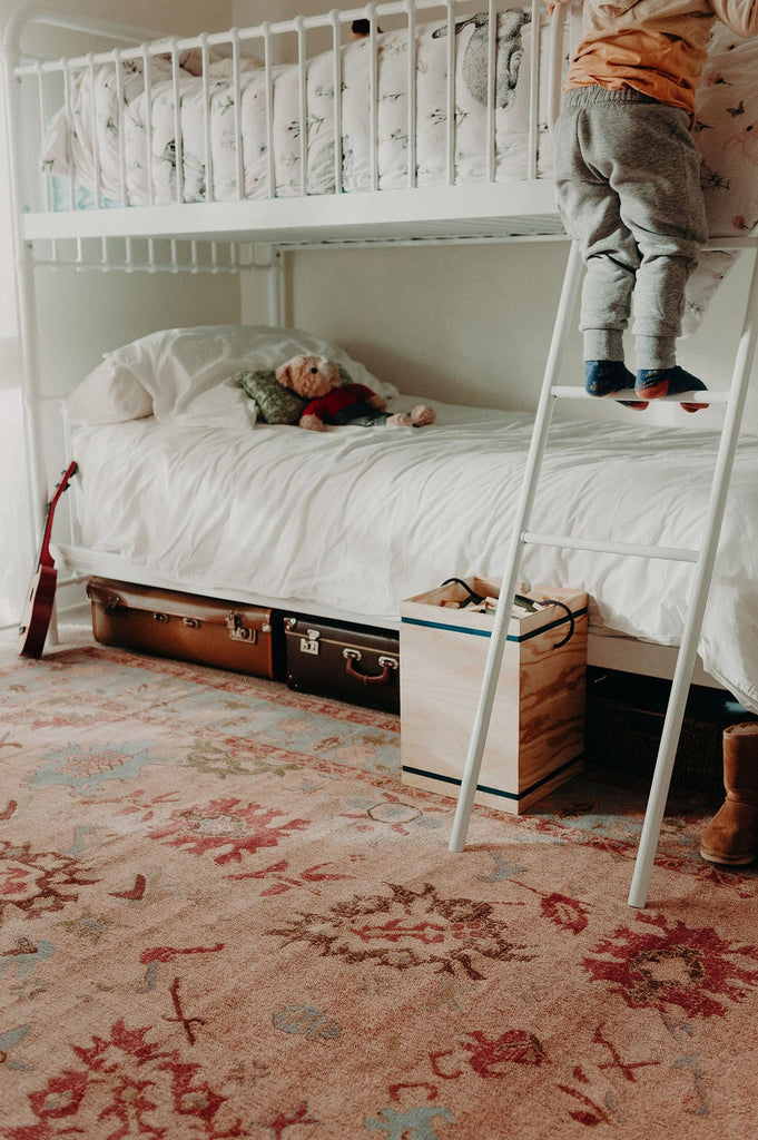 Dakota Blue and Pink Bordered Floral Rug