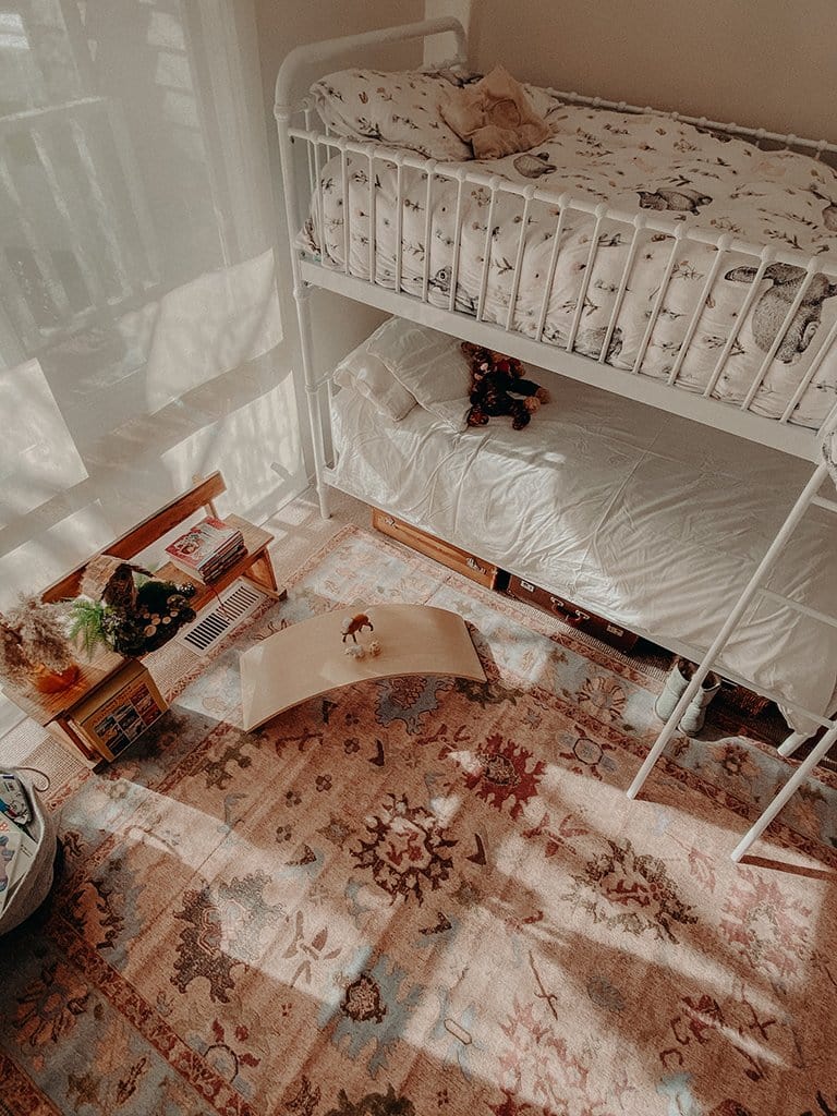 Dakota Blue and Pink Bordered Floral Rug