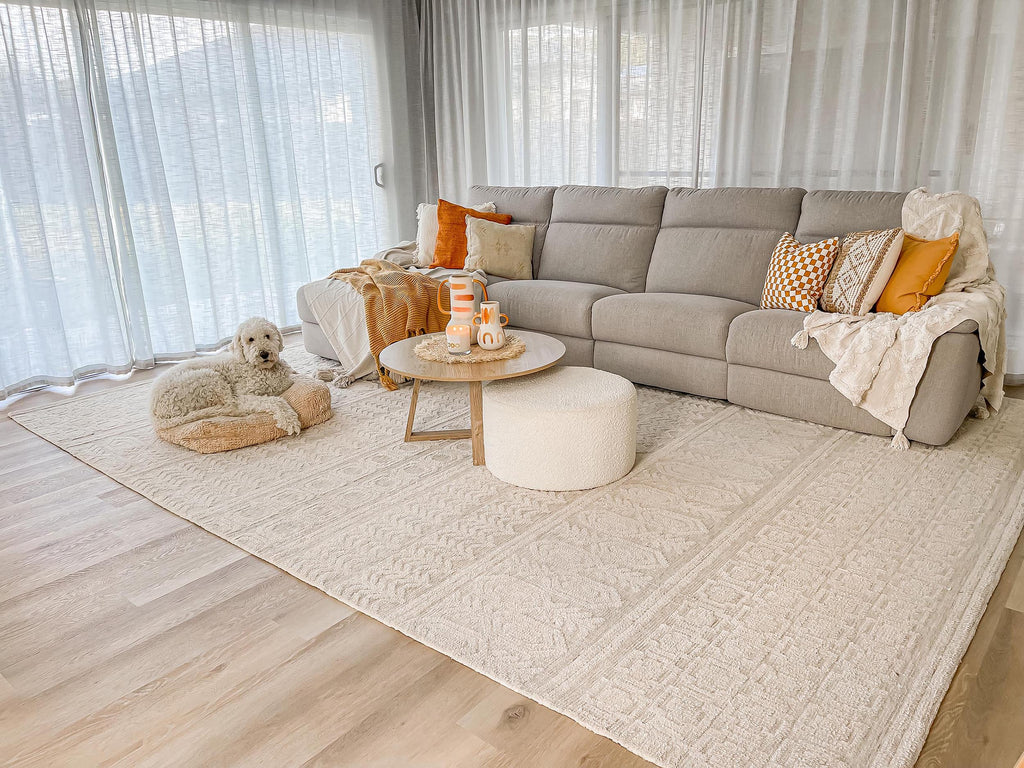 Delphine Ivory and Beige Tribal Transitional Rug