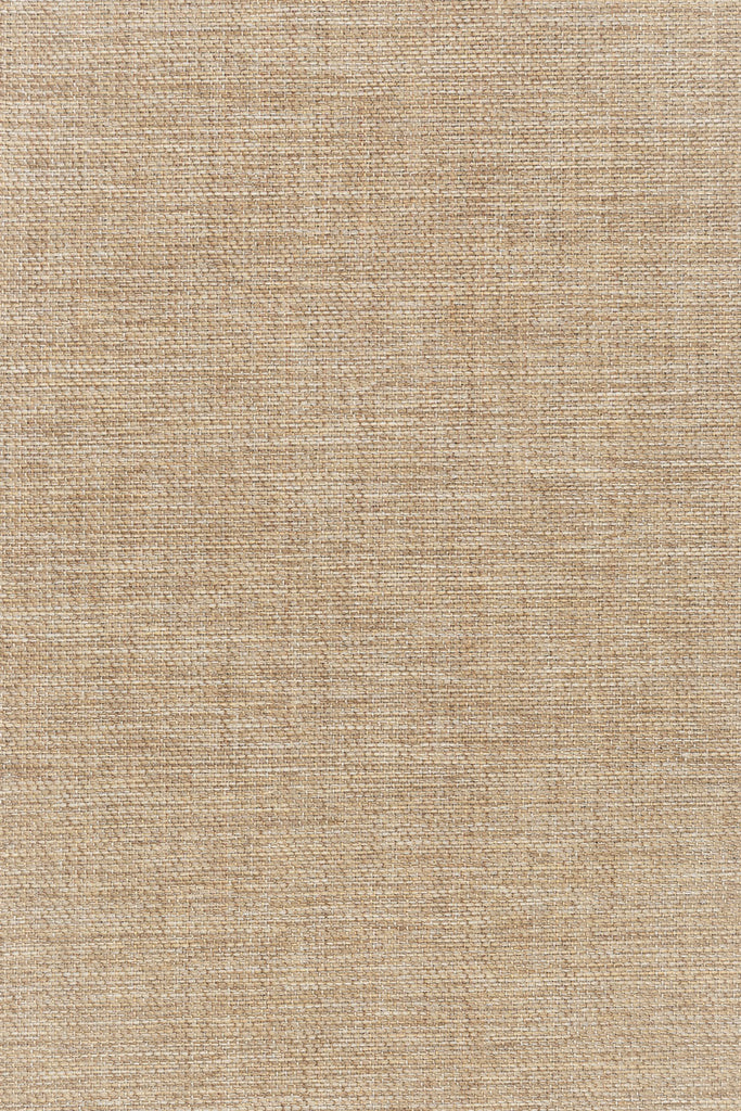 Dune Natural Beige Woven Indoor Outdoor Rug