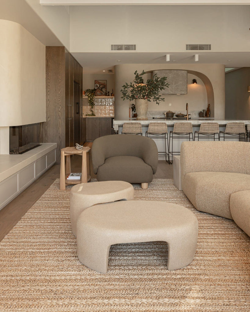 Eboni Chunky Braided Jute and Cotton Rug