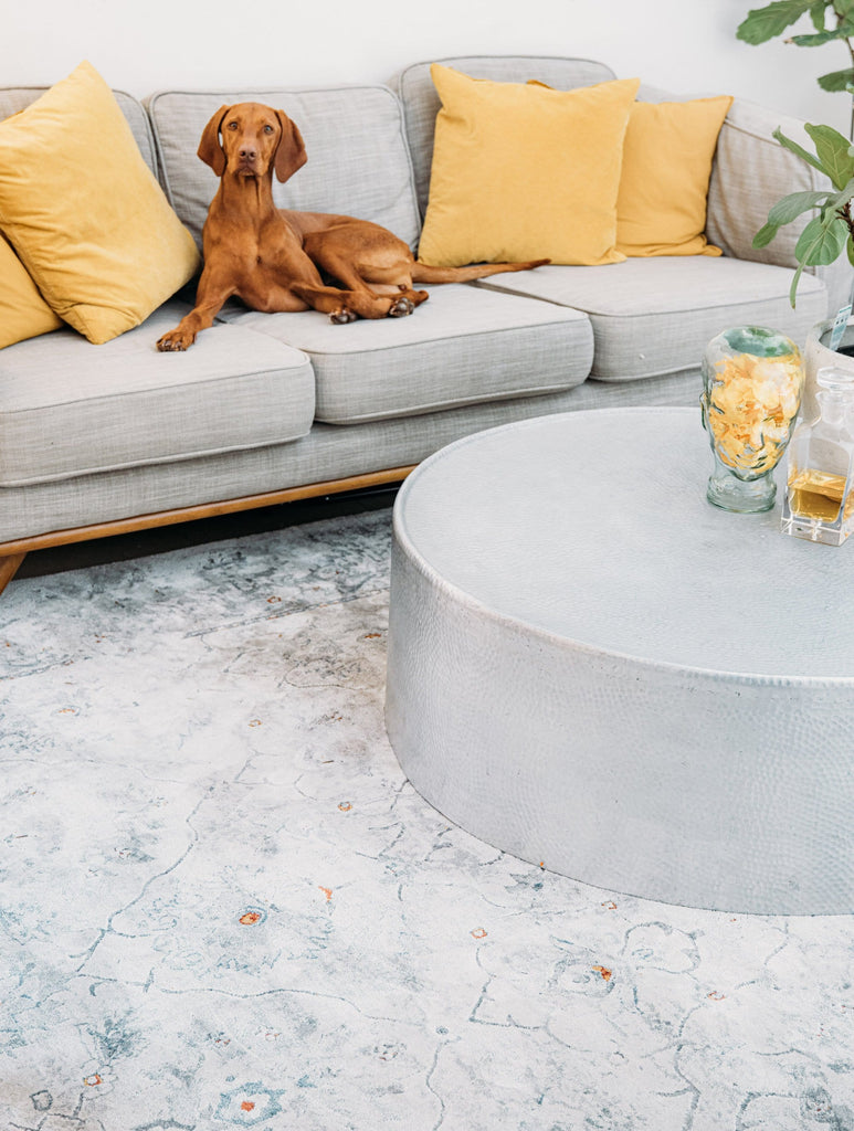 Elisha Grey and Blue Traditional Distressed Medallion Rug *NO RETURNS UNLESS FAULTY