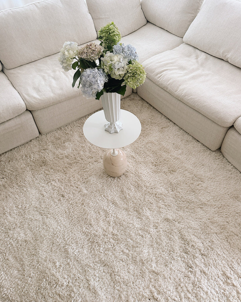 Ernestine Ivory Shag Rug