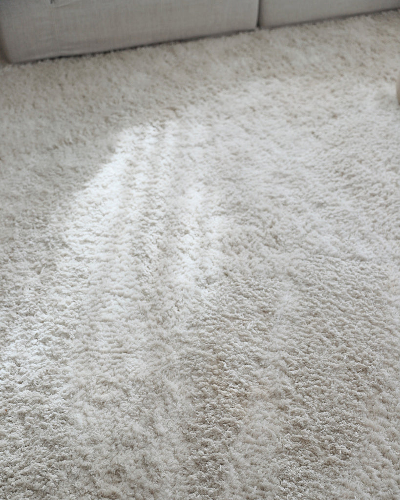 Ernestine Ivory Shag Rug