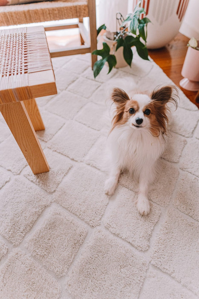 Gia Ivory Diamond Tribal PET Shag Rug