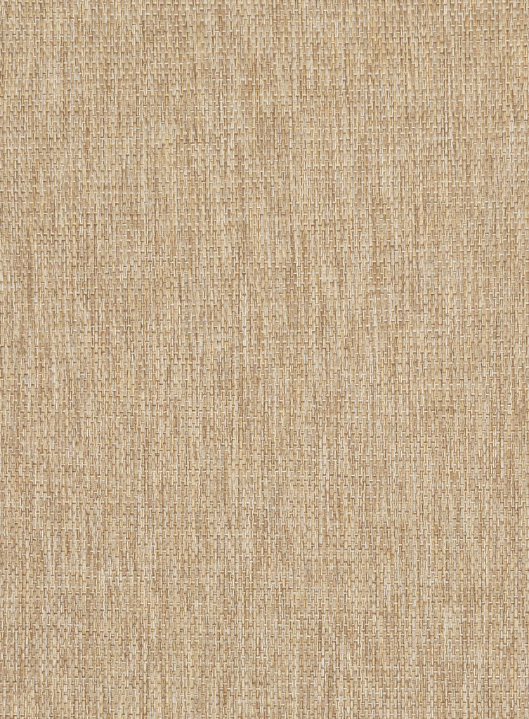 Ilya Sandy Beige Woven Indoor Outdoor Rug