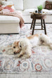 Jinnie Cream and Purple Multi-Colour Distressed Rug