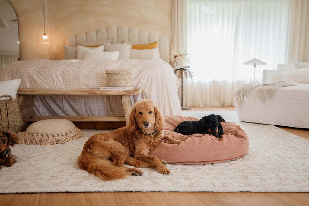 Josephine Ivory and Cream Tribal Transitional Rug