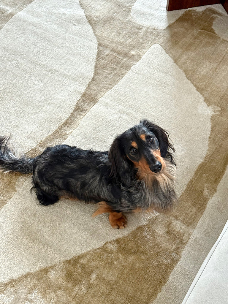 Kallua Textured Abstract Neutral Washable Rug