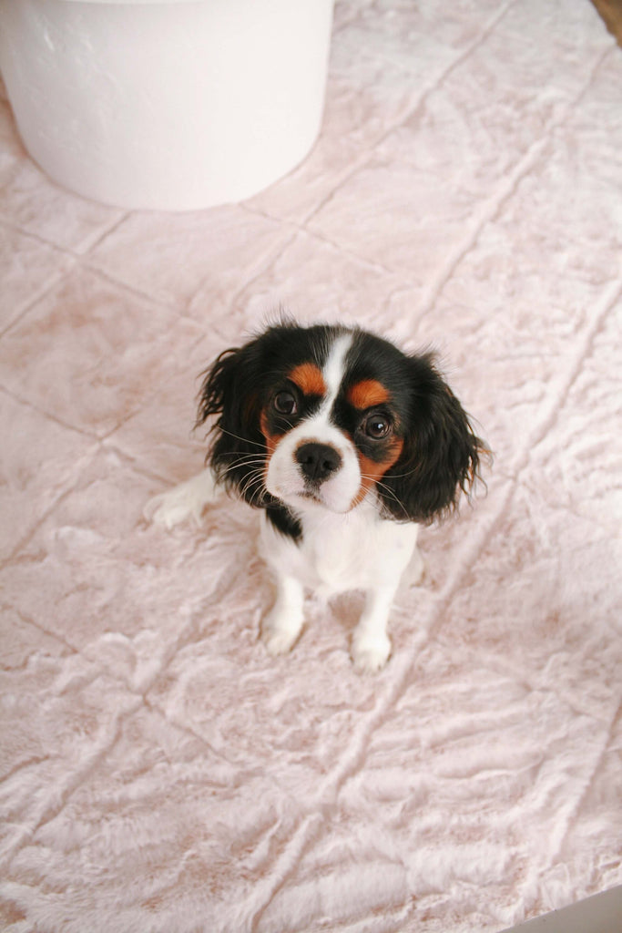 Karlie Blush Pink Diamond Shag Rug