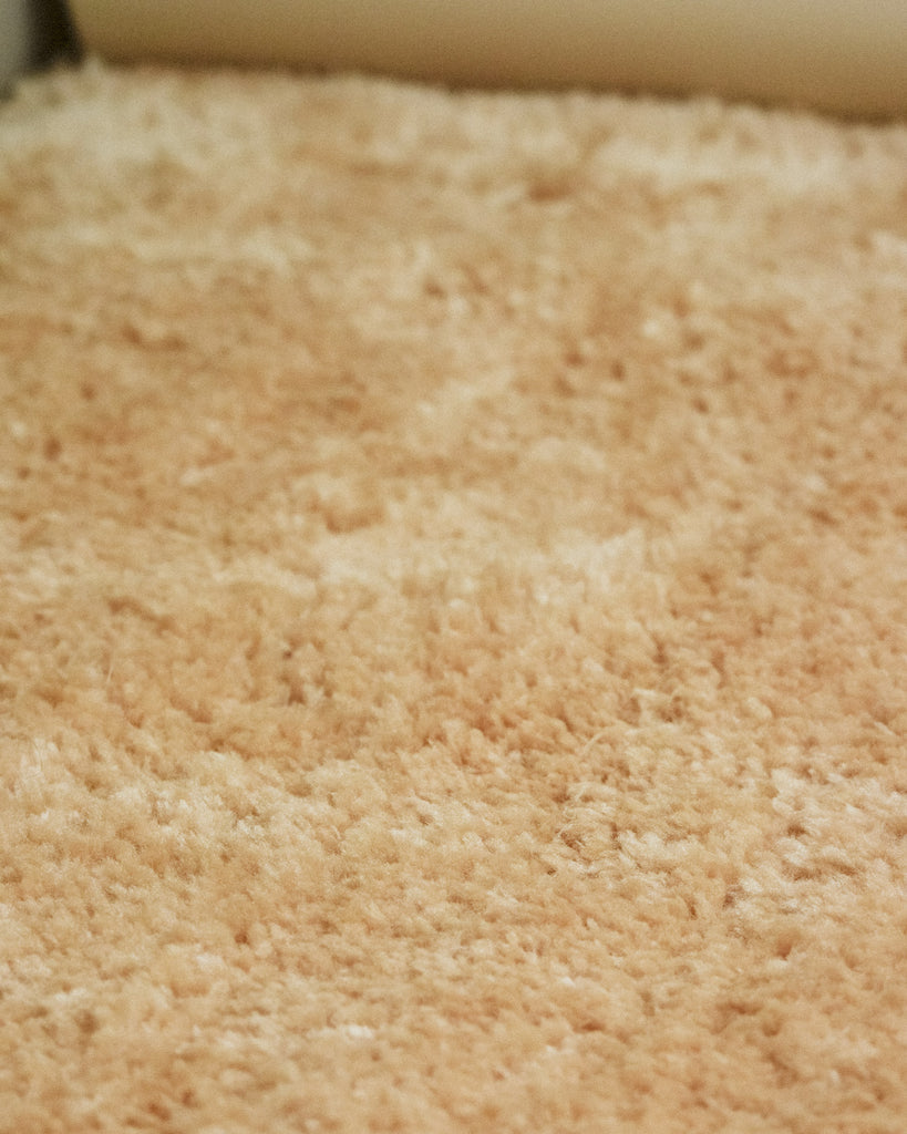 Kateena Beige Shag Rug