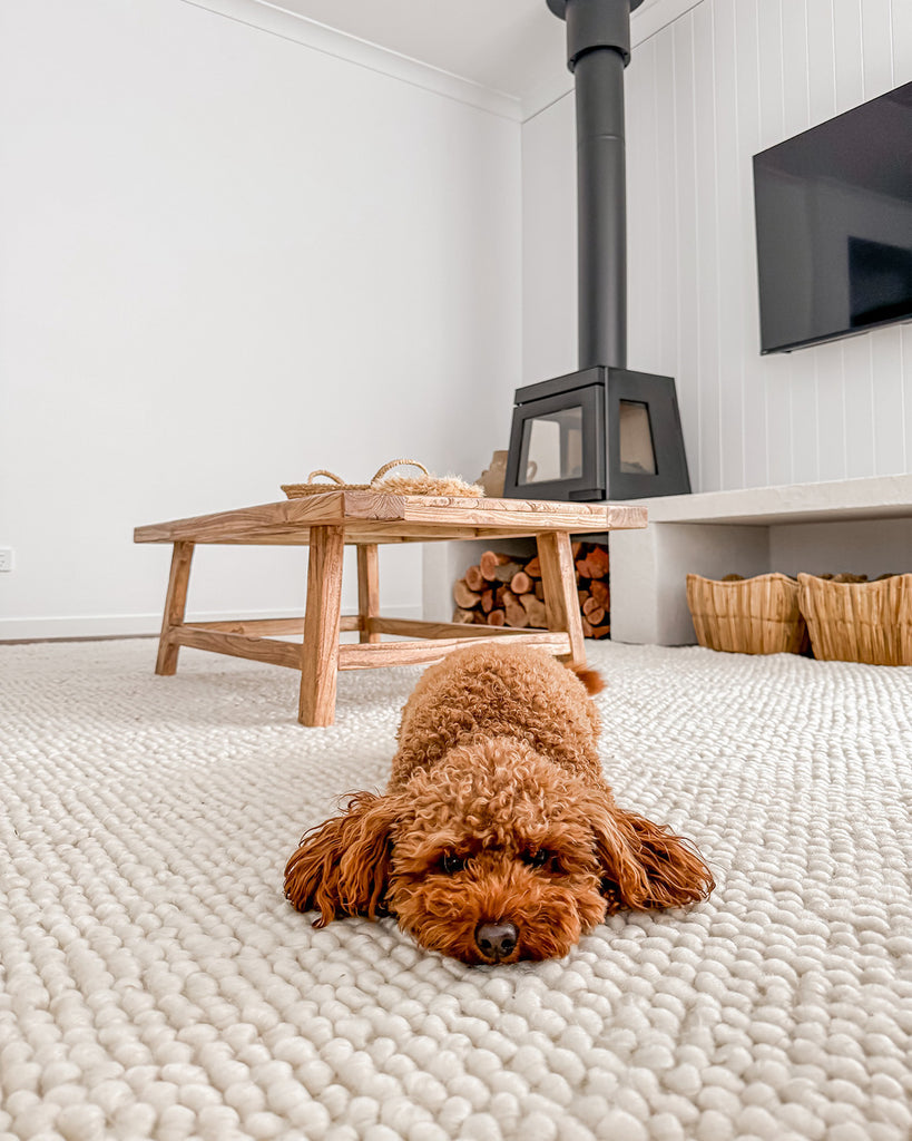 Kirsi Ivory Looped Indoor Outdoor PET Rug