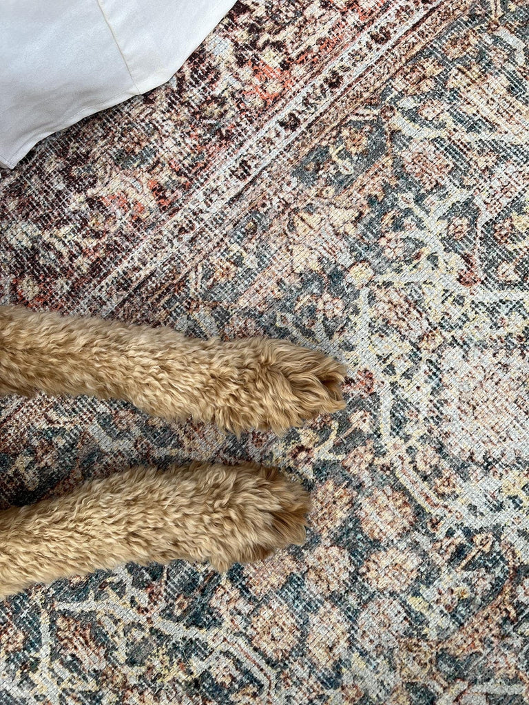 Krisna Brown and BlueTraditional Distressed Washable Rug