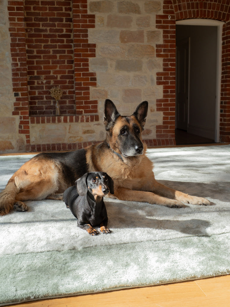 Lila Green Bordered Shag Rug