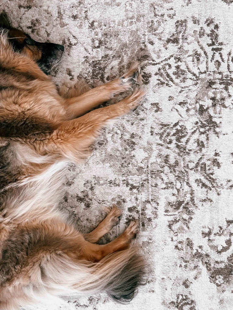 Liliana Cream And Brown Traditional Distressed Floral Rug