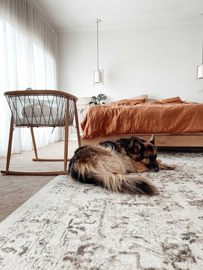 Liliana Cream And Brown Traditional Distressed Floral Rug