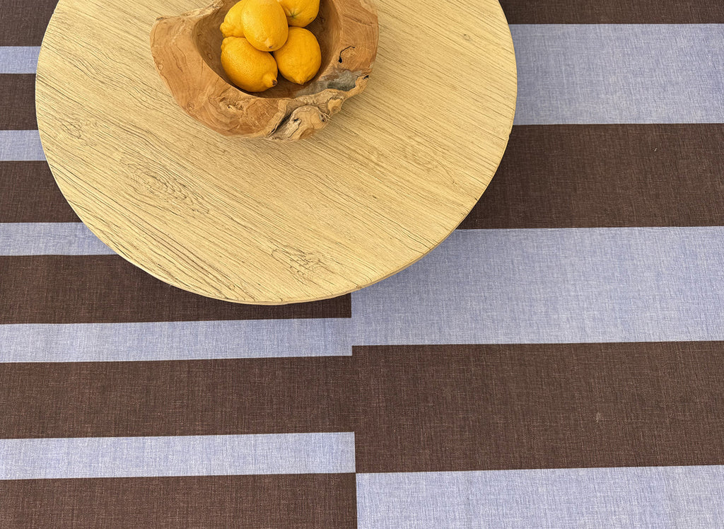 Luz Deep Cocoa and Vivid Blue Striped Indoor Outdoor Rug