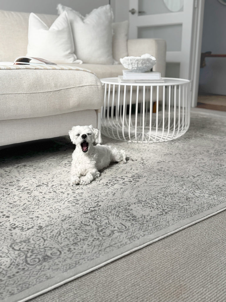 Madison Ivory And Grey Traditional Distressed Rug
