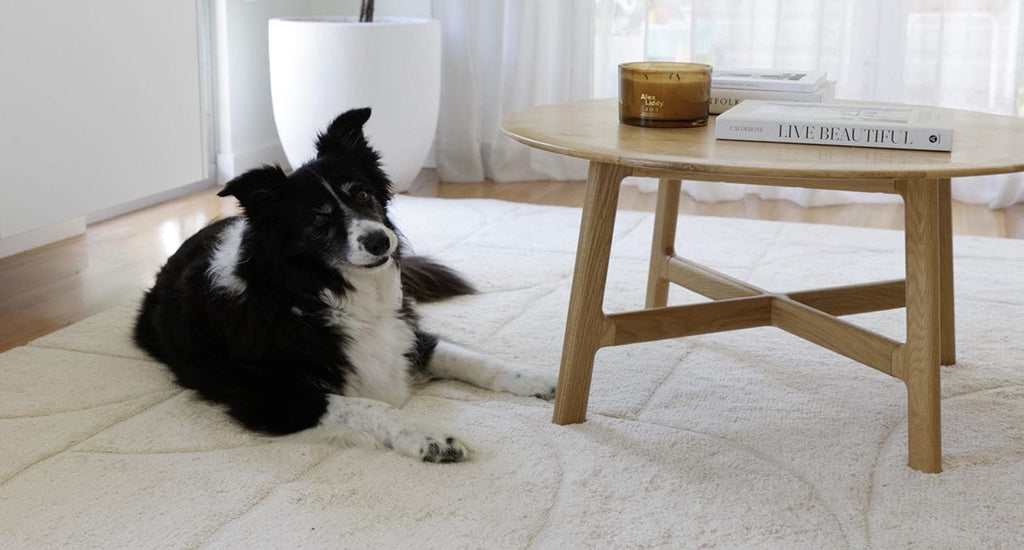 Mikaela Cream Beige Abstract Cotton Washable Rug