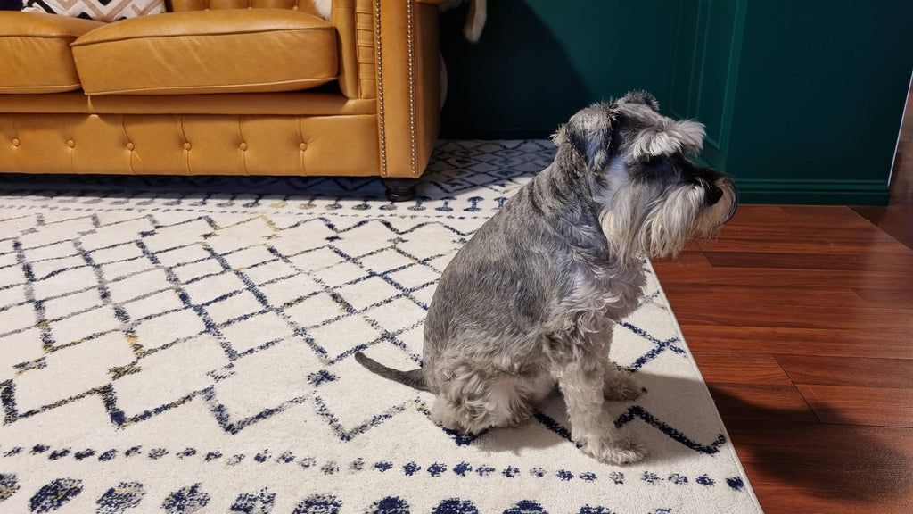 Molly Multi-Colour Tribal Diamond Rug *NO RETURNS UNLESS FAULTY