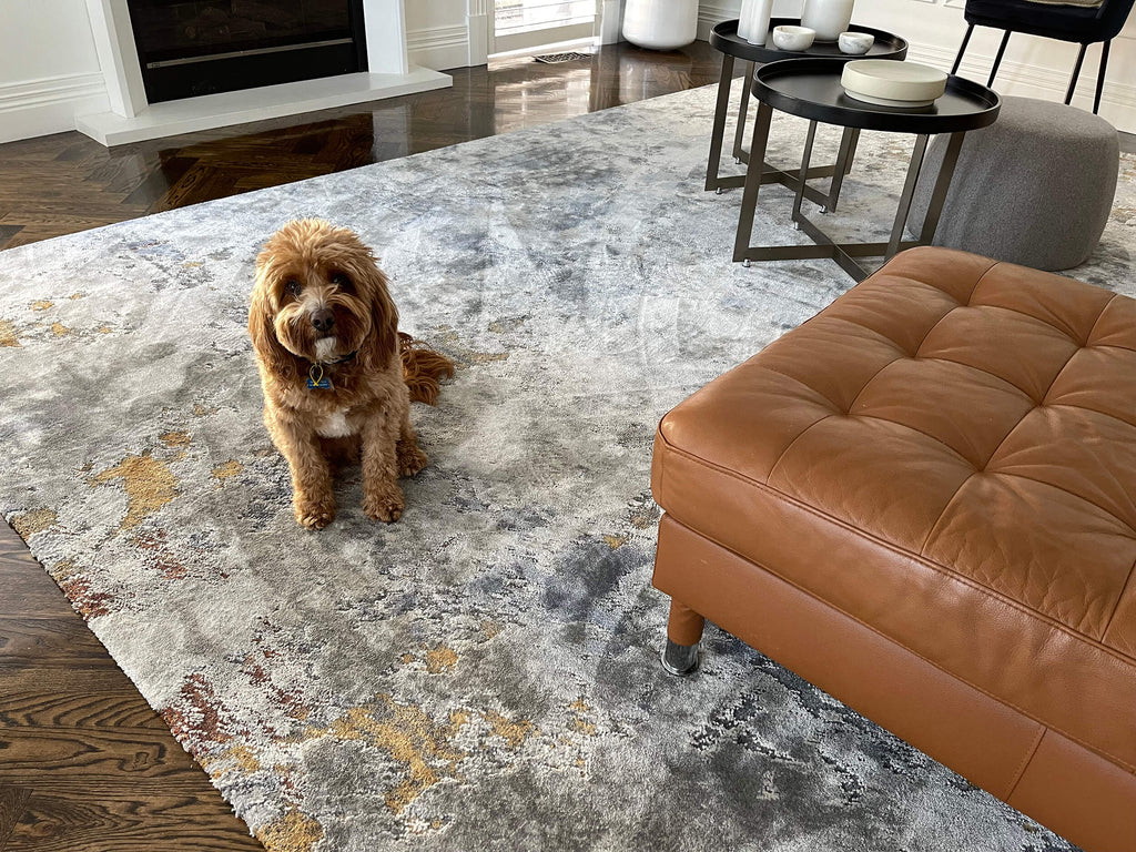 Neve Blue Grey and Bronze Transitional Motif Rug