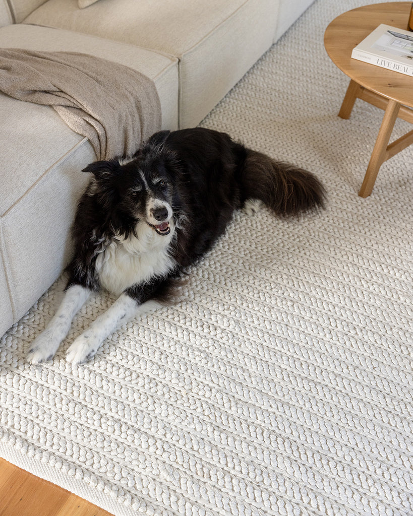 Rafiella Ivory Braided Indoor Outdoor Rug