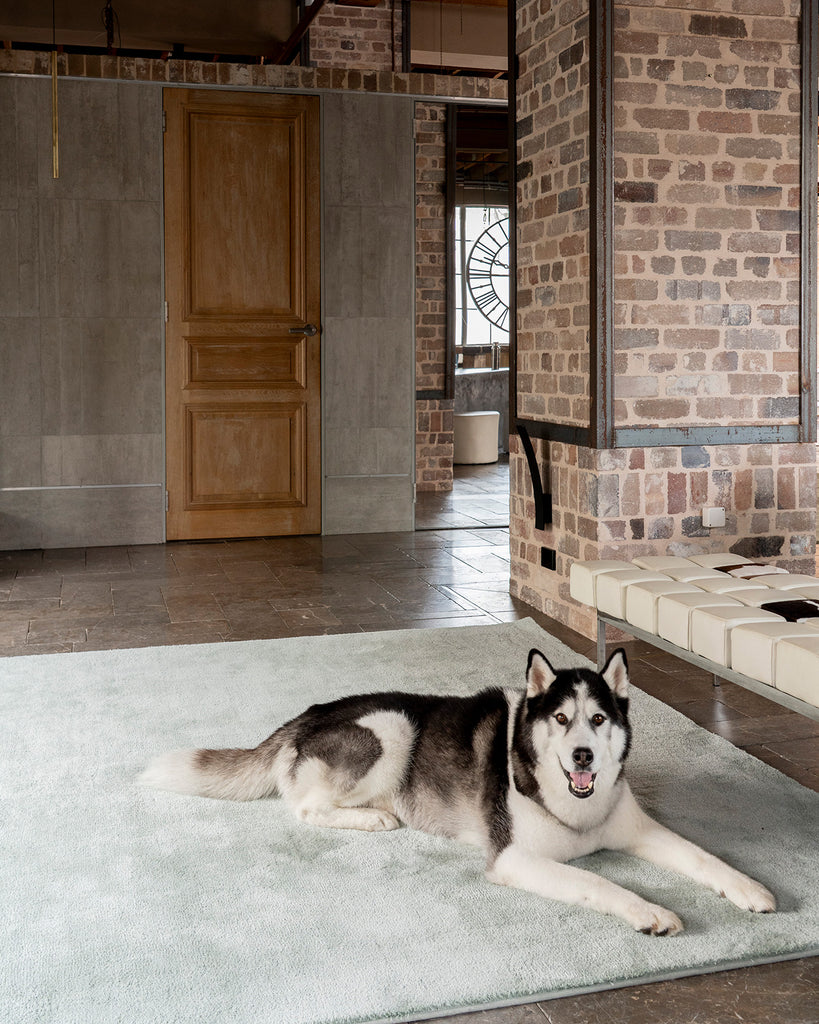 Romilly Sage Green Shag Rug