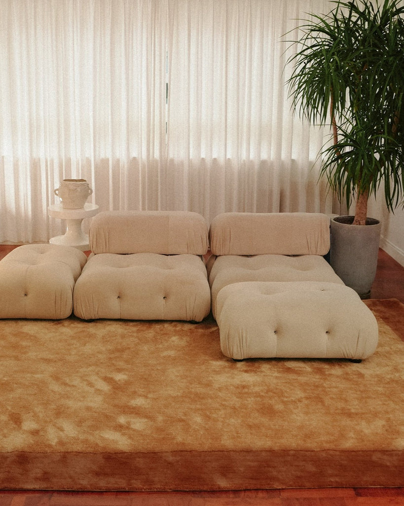 Rozanda Brown Bordered Shag Rug