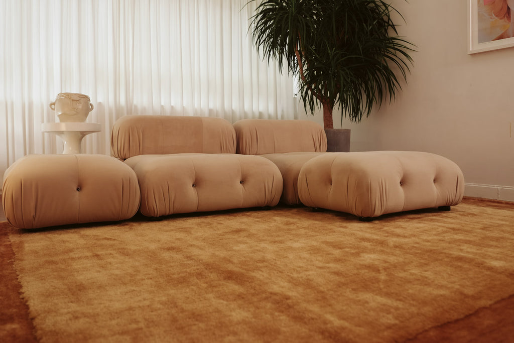 Rozanda Brown Bordered Shag Rug