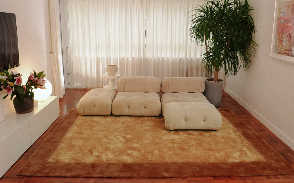 Rozanda Brown Bordered Shag Rug