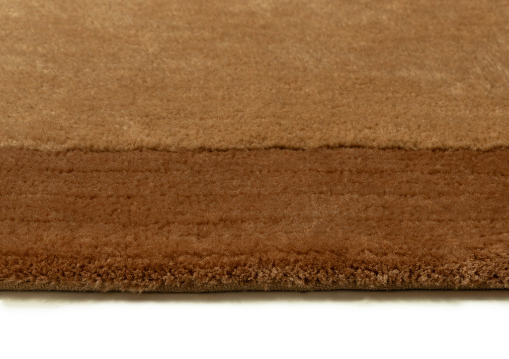 Rozanda Brown Bordered Shag Rug