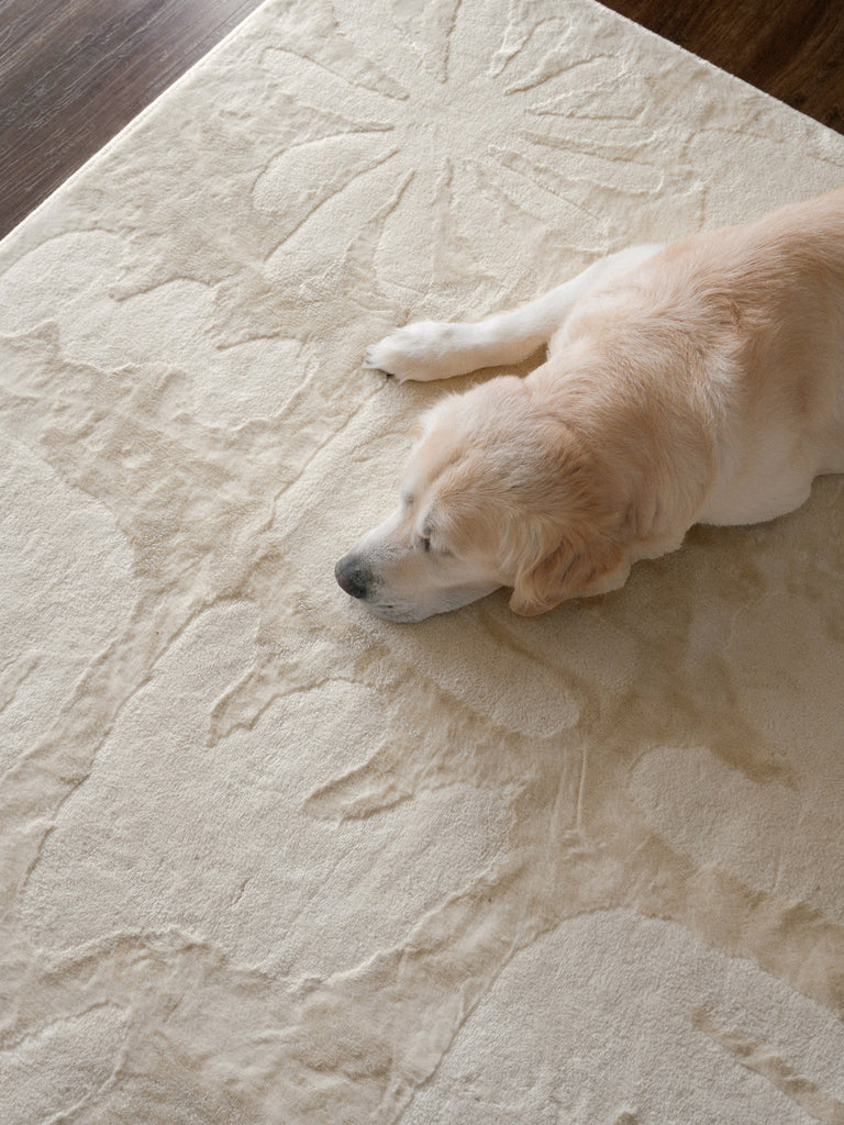 Salah Textured Abstract Neutral Washable Rug