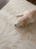 Salah Textured Abstract Neutral Washable Rug