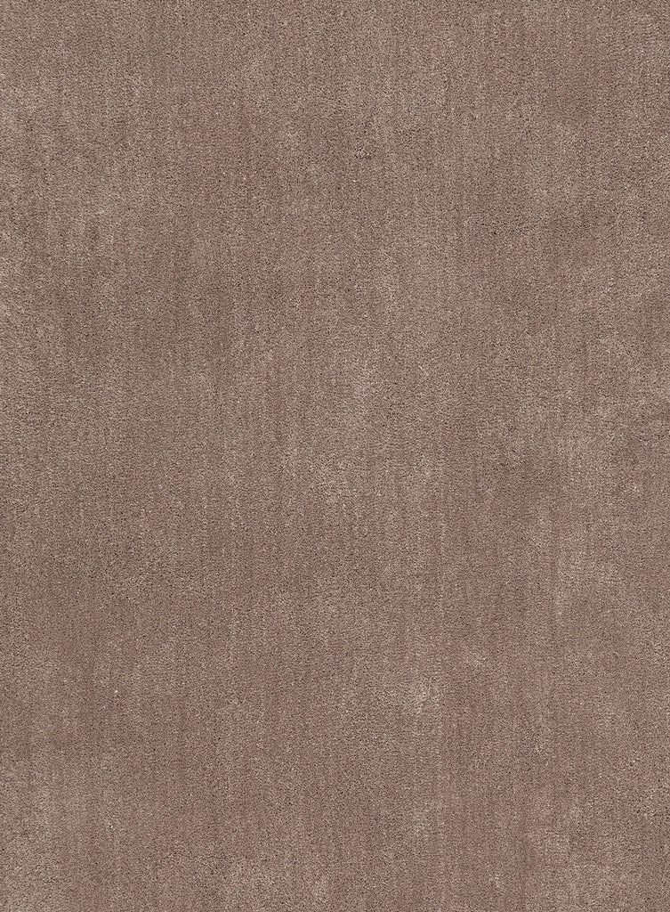 Shevana Taupe Shag Rug