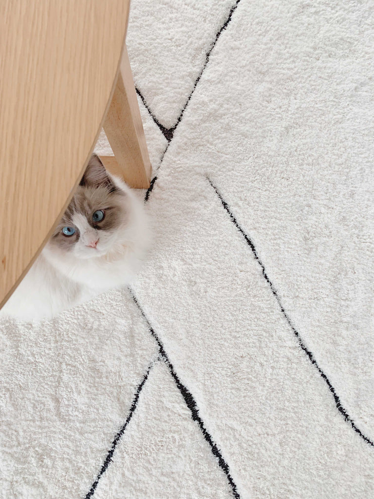 Tahlee Cream and Charcoal Grey Tribal Shag Rug