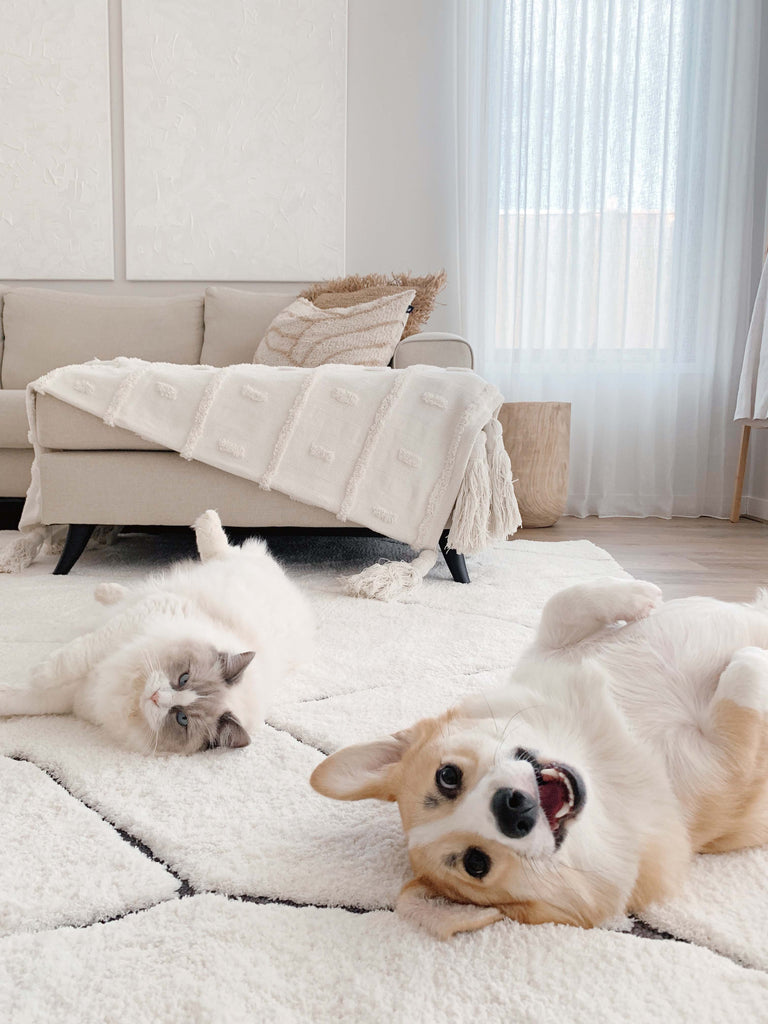 Tahlee Cream and Charcoal Grey Tribal Shag Rug