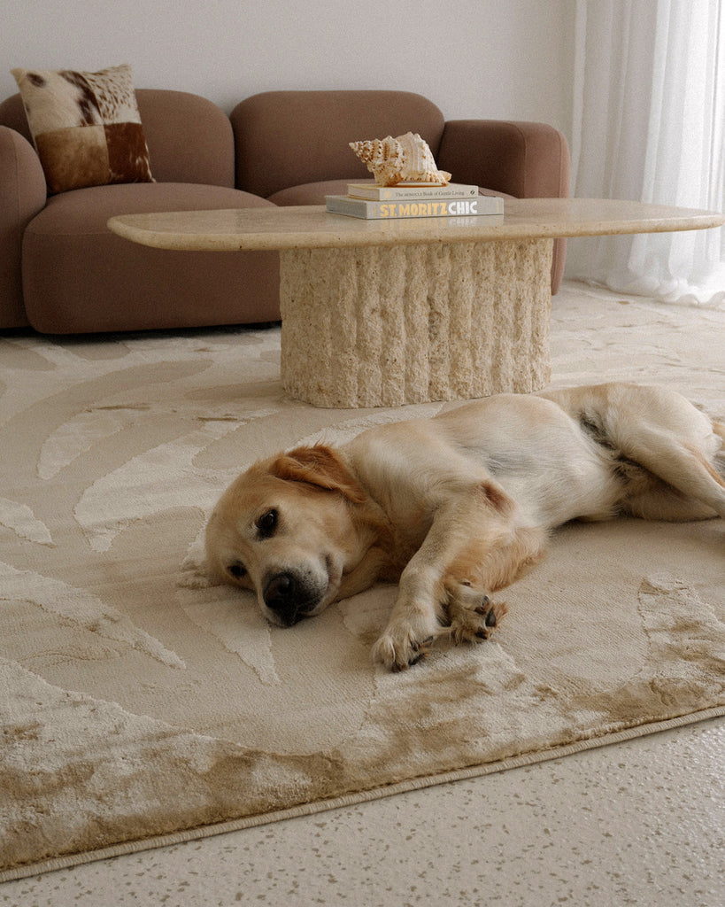 Tann Textured Abstract Neutral Washable Rug
