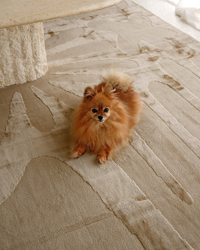 Tann Textured Abstract Neutral Rug