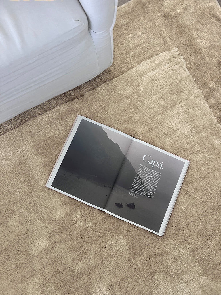 Verity Beige Bordered Shag Rug